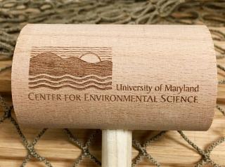 Center for Enviromental Science